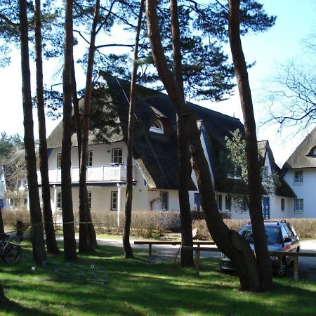 Zingst Achtern Diek 12D Elly Dış mekan fotoğraf