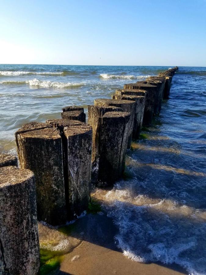 Zingst Achtern Diek 12D Elly Dış mekan fotoğraf
