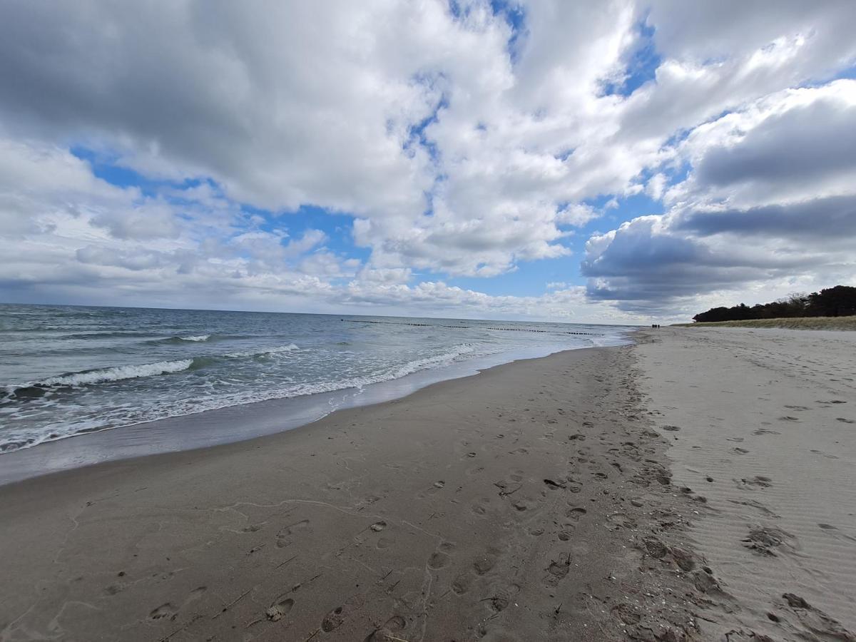 Zingst Achtern Diek 12D Elly Dış mekan fotoğraf