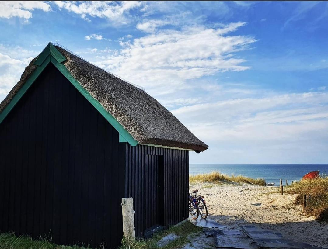 Zingst Achtern Diek 12D Elly Dış mekan fotoğraf
