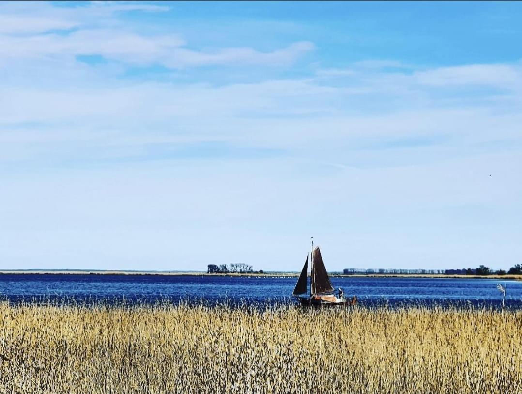 Zingst Achtern Diek 12D Elly Dış mekan fotoğraf