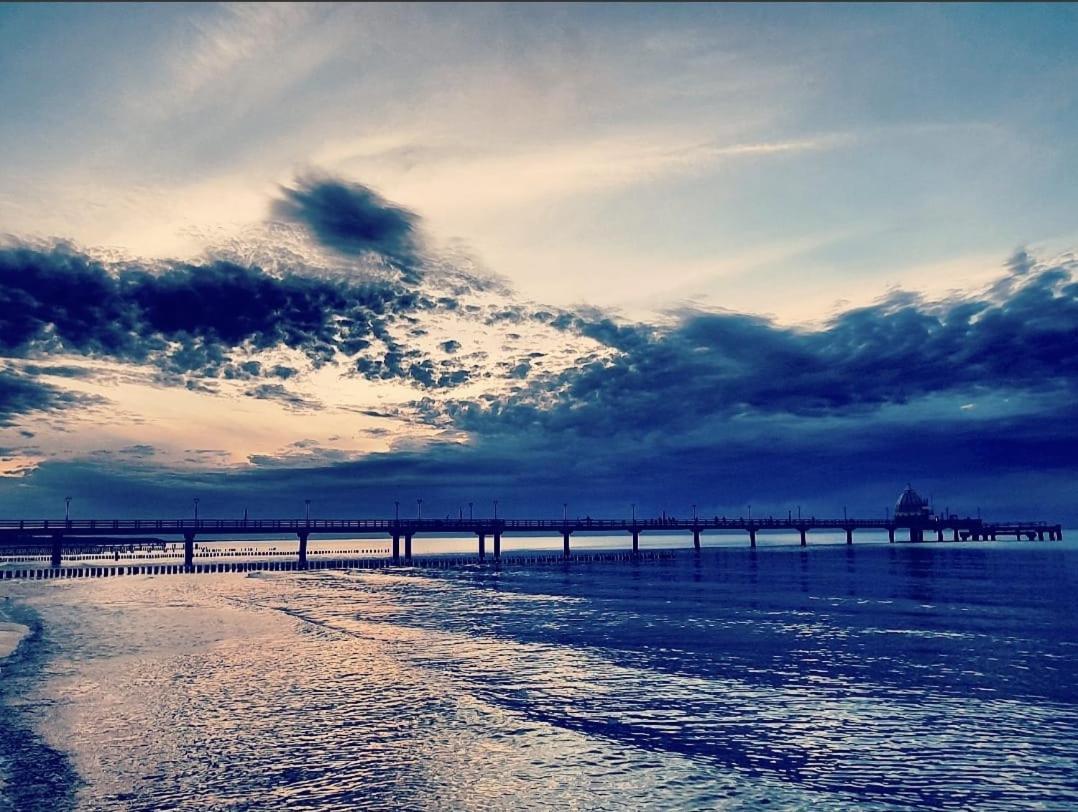 Zingst Achtern Diek 12D Elly Dış mekan fotoğraf