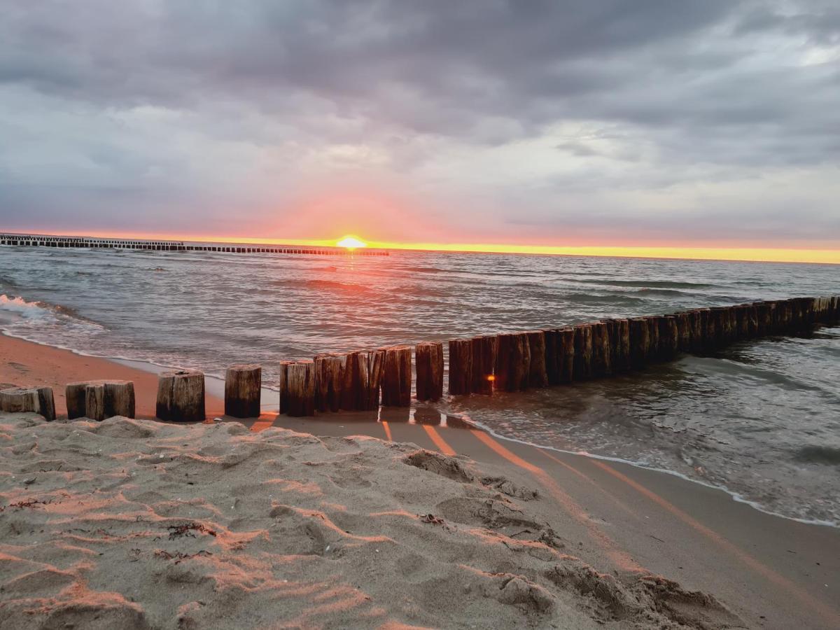Zingst Achtern Diek 12D Elly Dış mekan fotoğraf