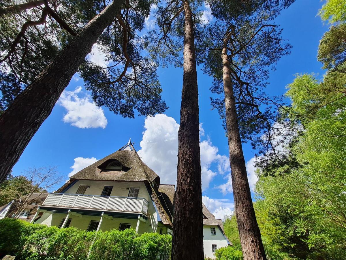 Zingst Achtern Diek 12D Elly Dış mekan fotoğraf
